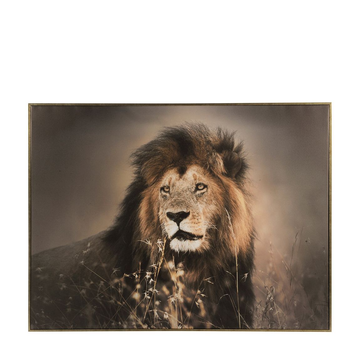 Lion Framed 80x113cm Canvas main product photo