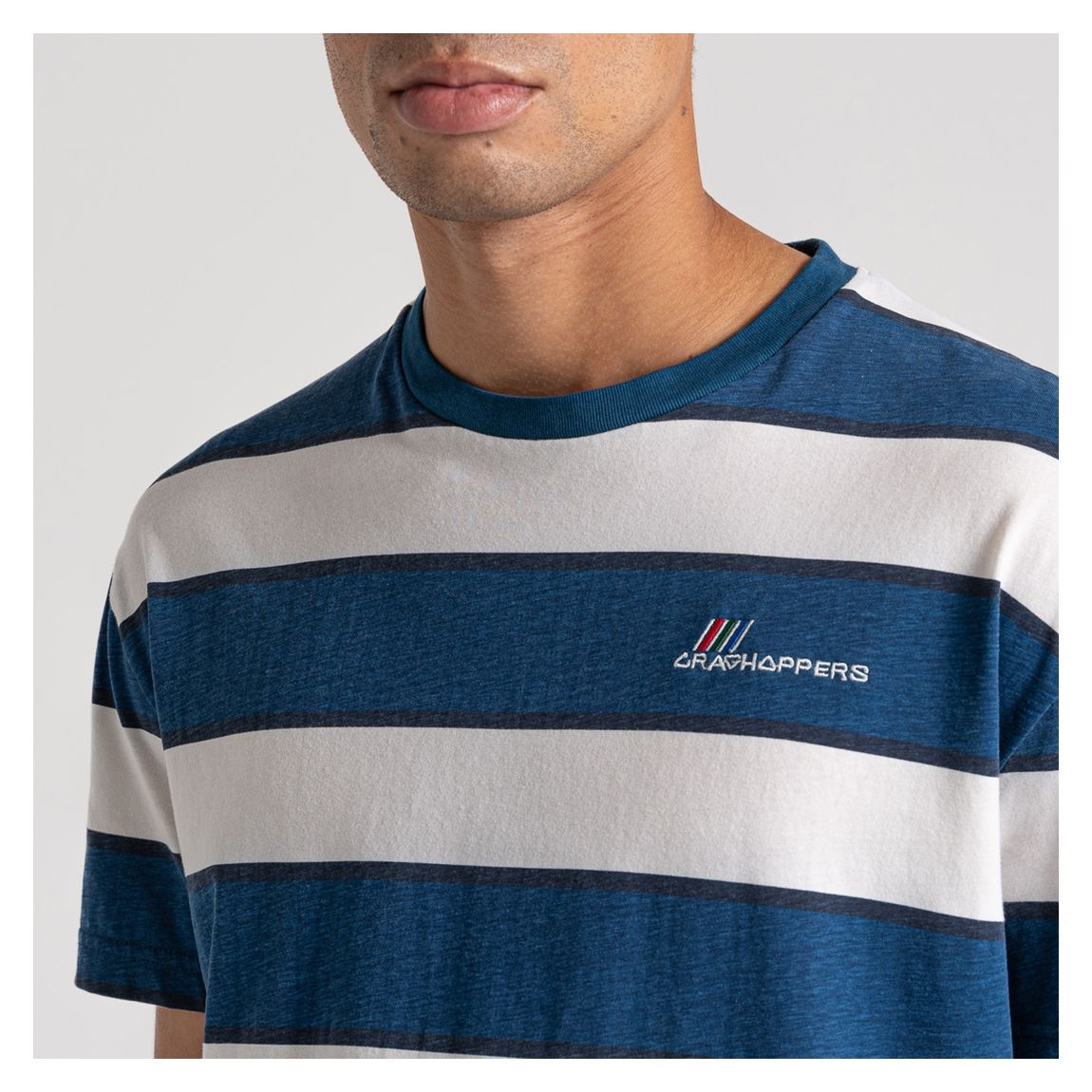 Blue/White Striped Denali Cotton T-Shirt main product photo