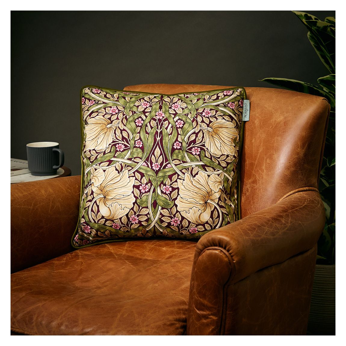 Pimpernel 43x43cm Cushion, Aubergine main product photo