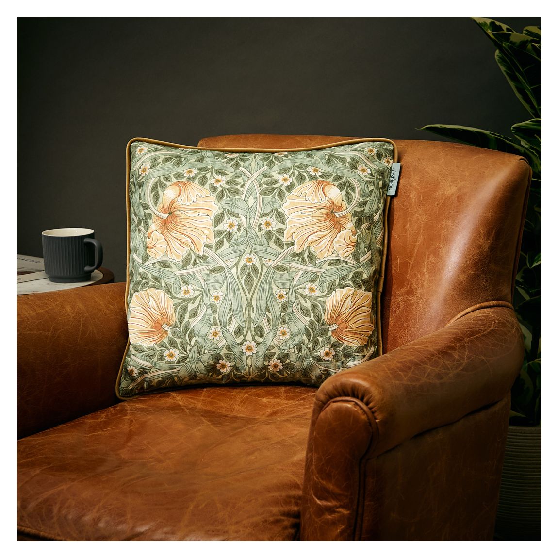 Pimpernel 43x43cm Cushion, Bayleaf main product photo