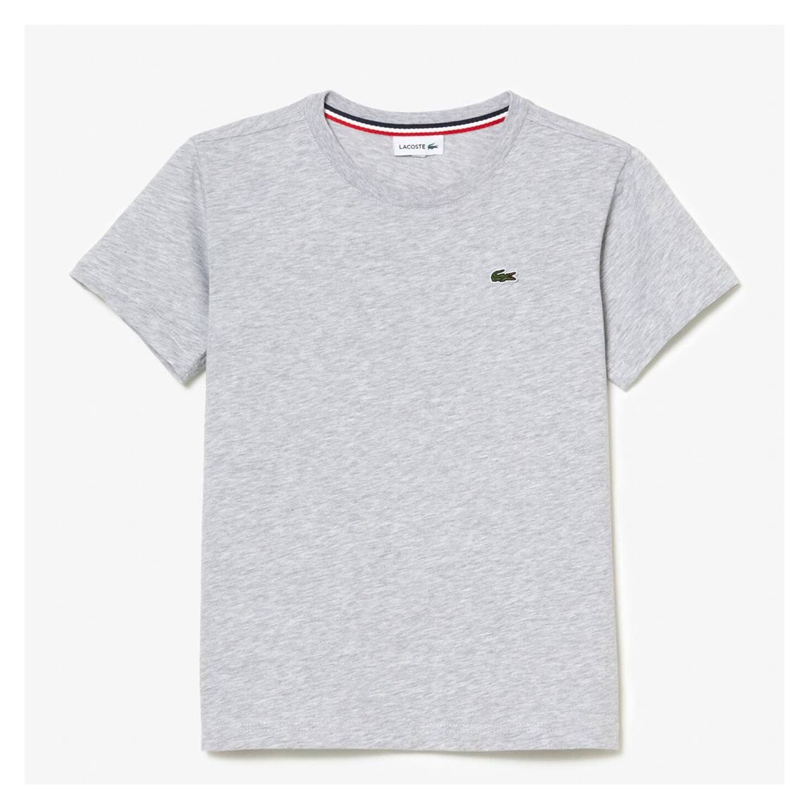 Teen's Grey Embroidered Crew Neck T-Shirt main product photo