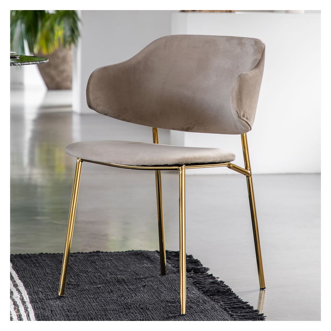 Pittsburg Dining Chair Taupe, Set of 2 main product photo