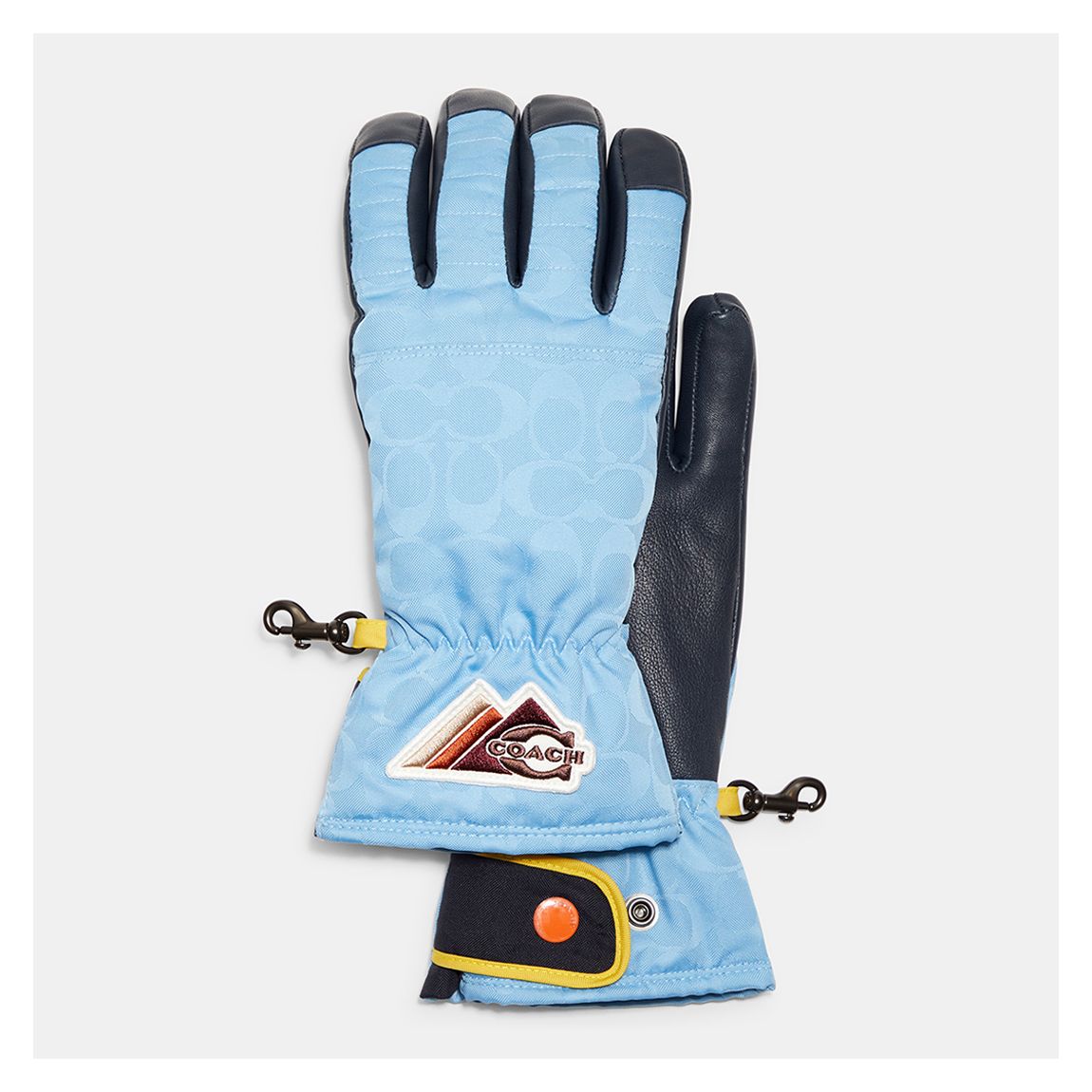 Black Blue Signature Ski Small Gloves main product photo