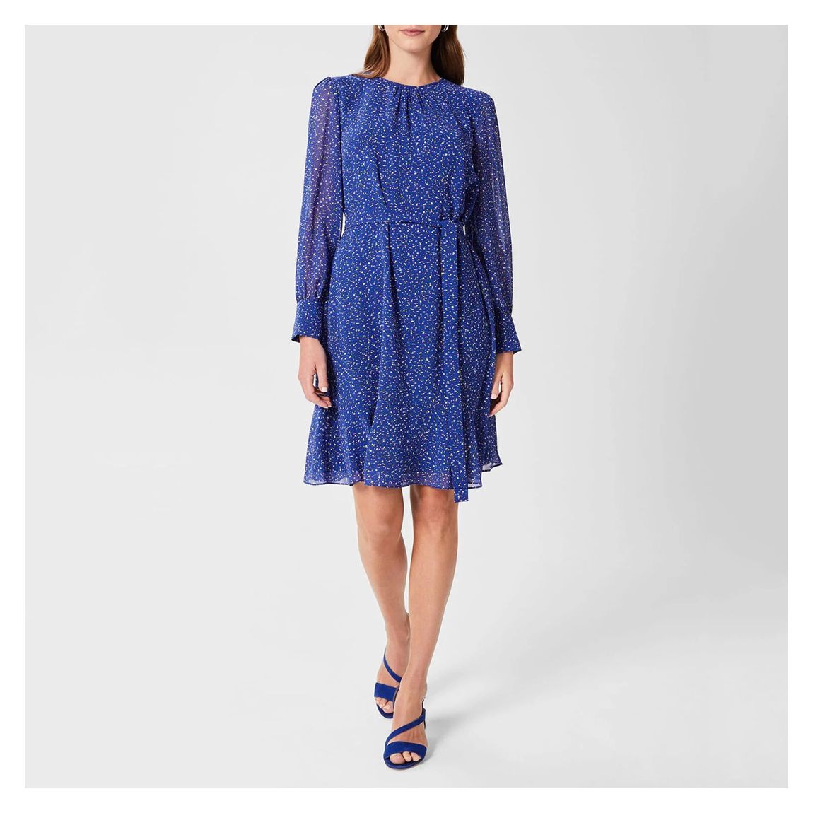 Blue Frances Pattern Dress main product photo