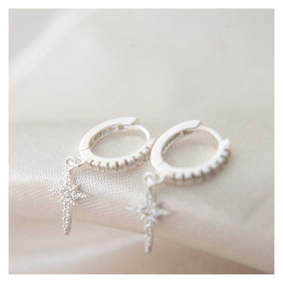 Silver Earring main product photo