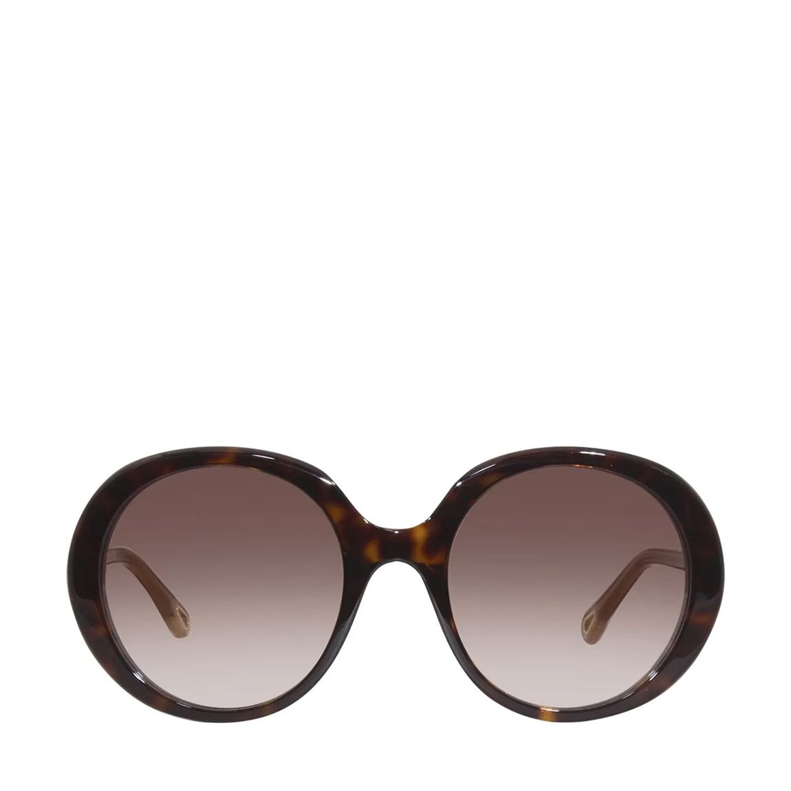 Women's Brown Chloe Sunglasses 54mm main product photo