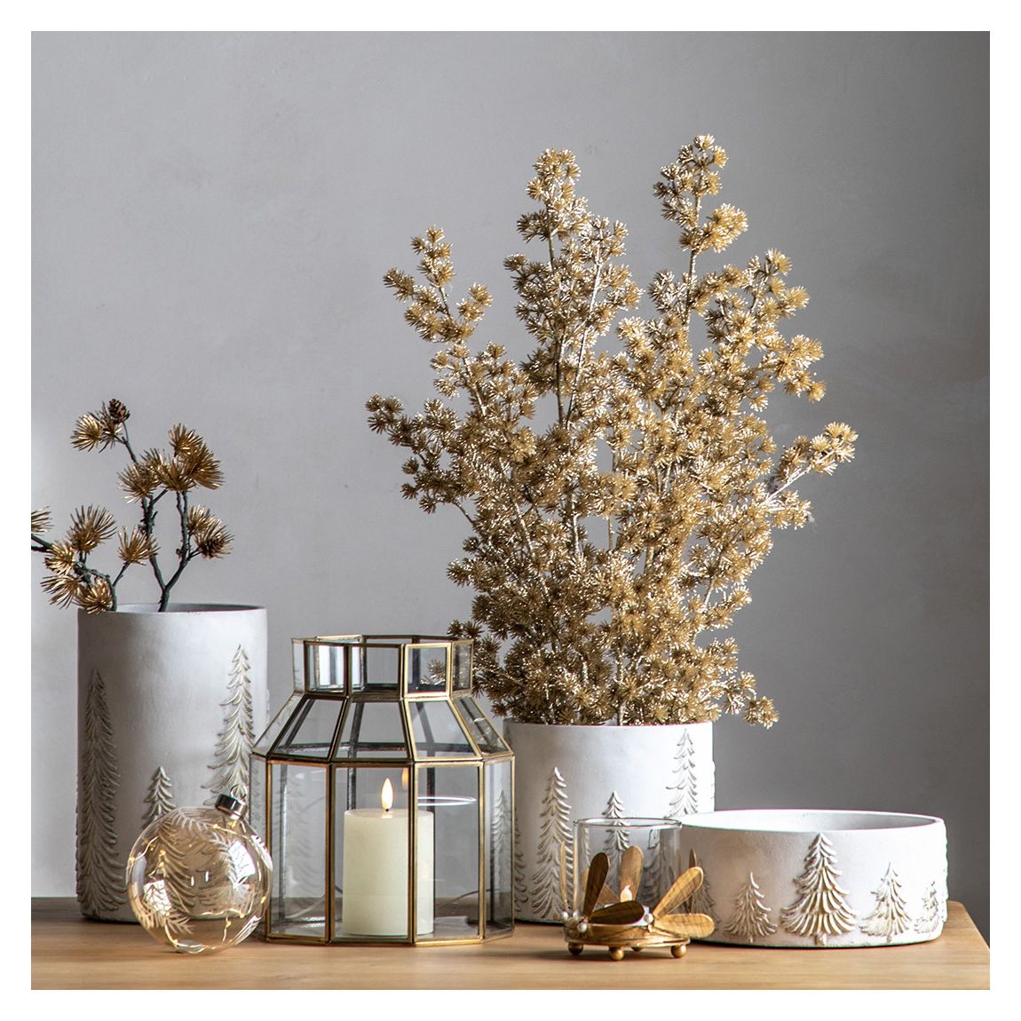 Potted Cedar Pine, Gold main product photo