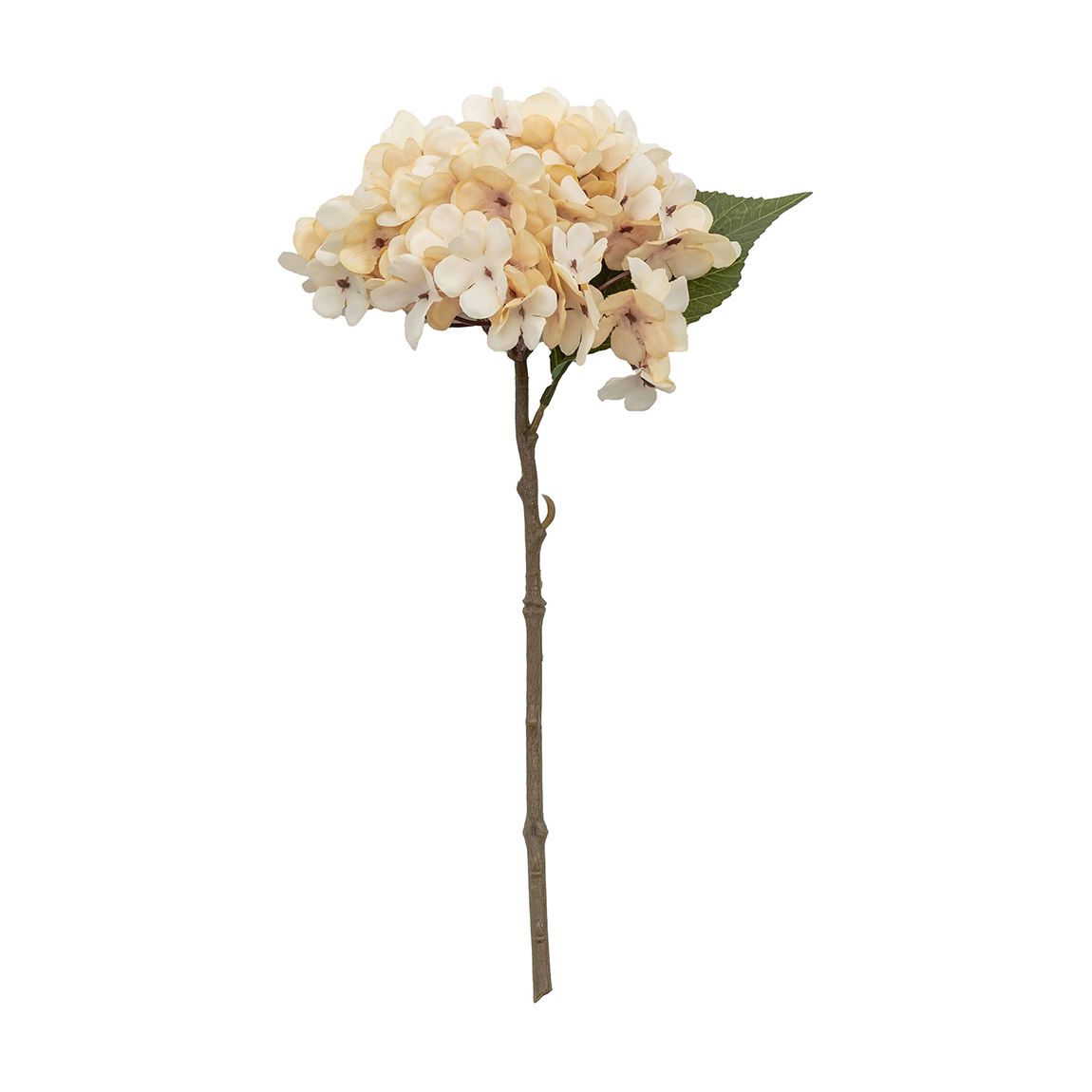 Set of 6 Woodland Hydrangea Stem, Cream main product photo