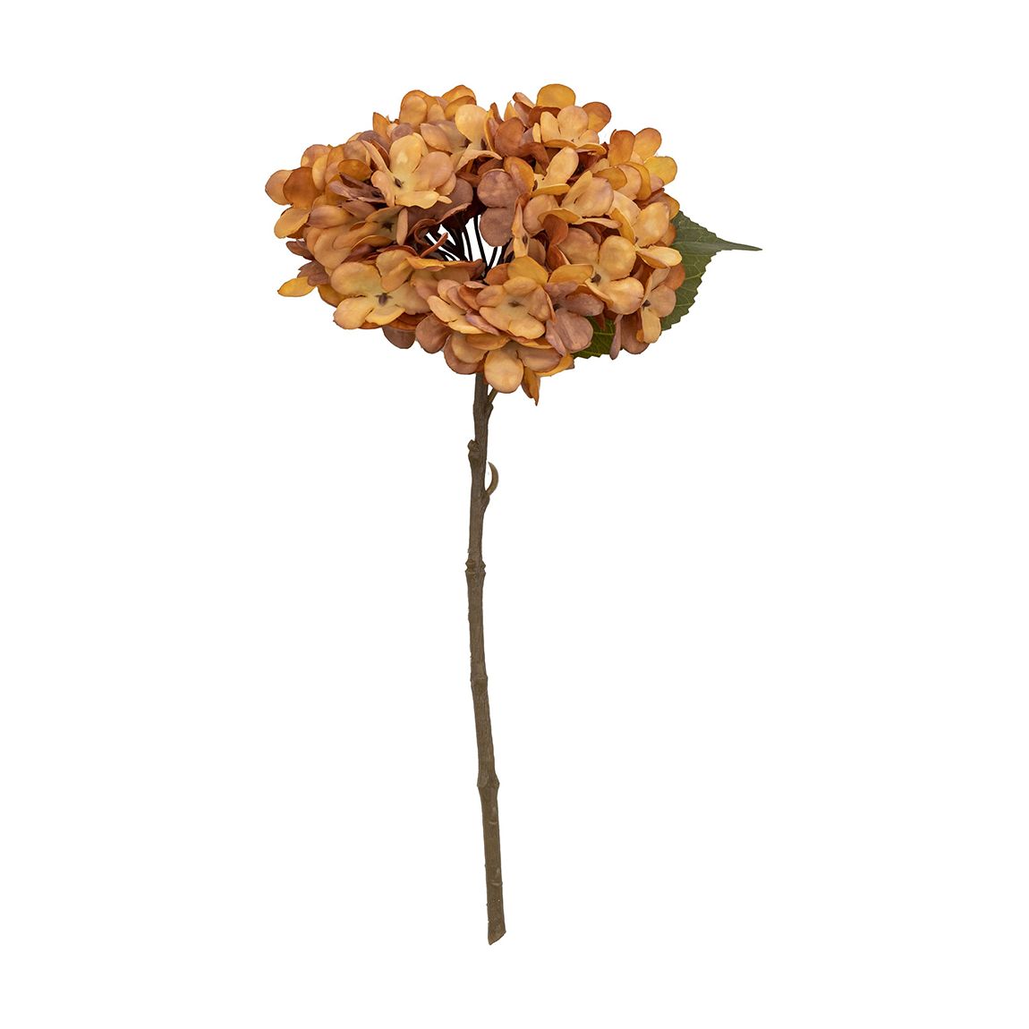 Set of 6 Woodland Hydrangea Stem, Russet main product photo