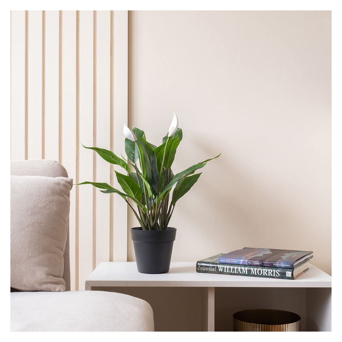 Peace Lily, 49cm main product photo