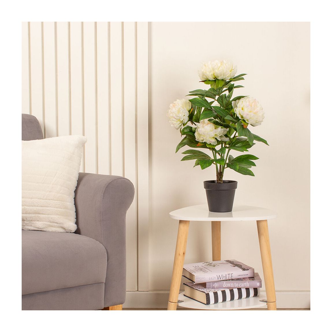 Peony Cream Plant, 55cm main product photo