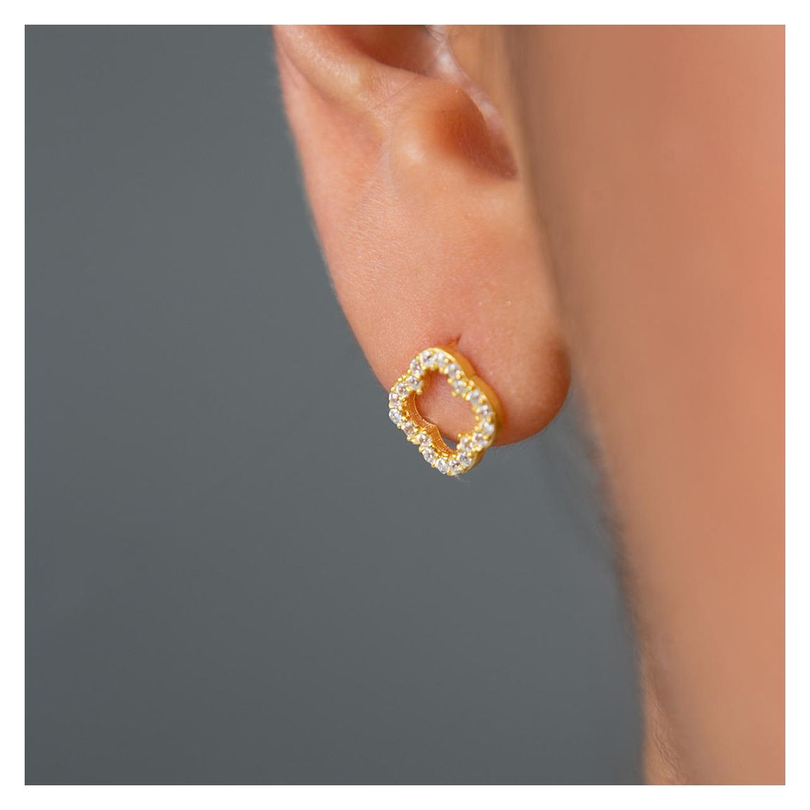 Silver Earrings main product photo
