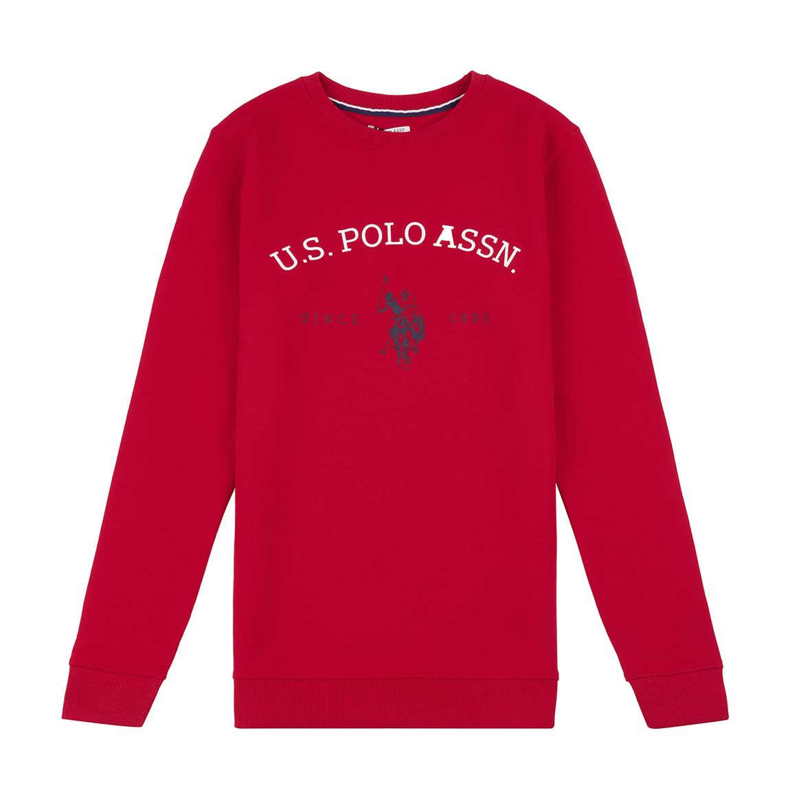 Teen Boy's USPA Graphic LB Crew main product photo