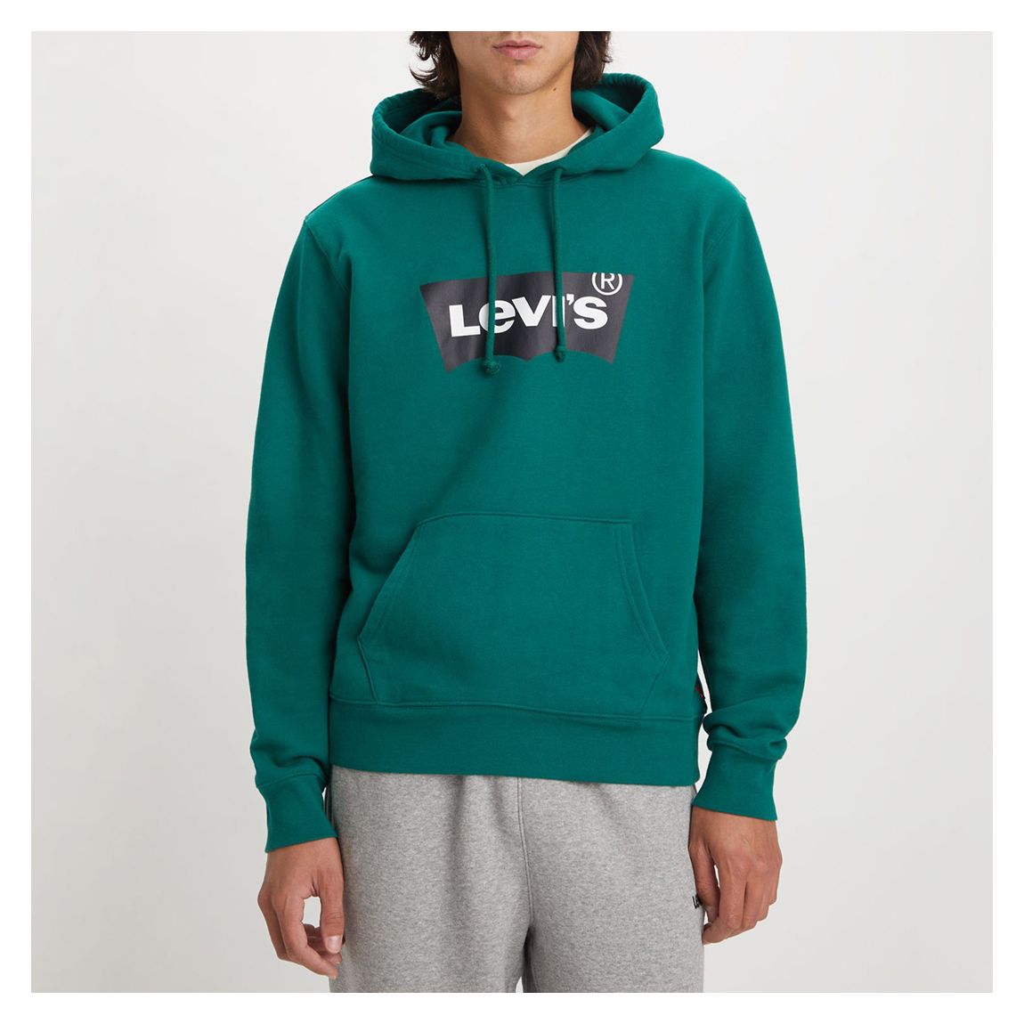 Teal Standard Graphic Cotton Hoodie main product photo