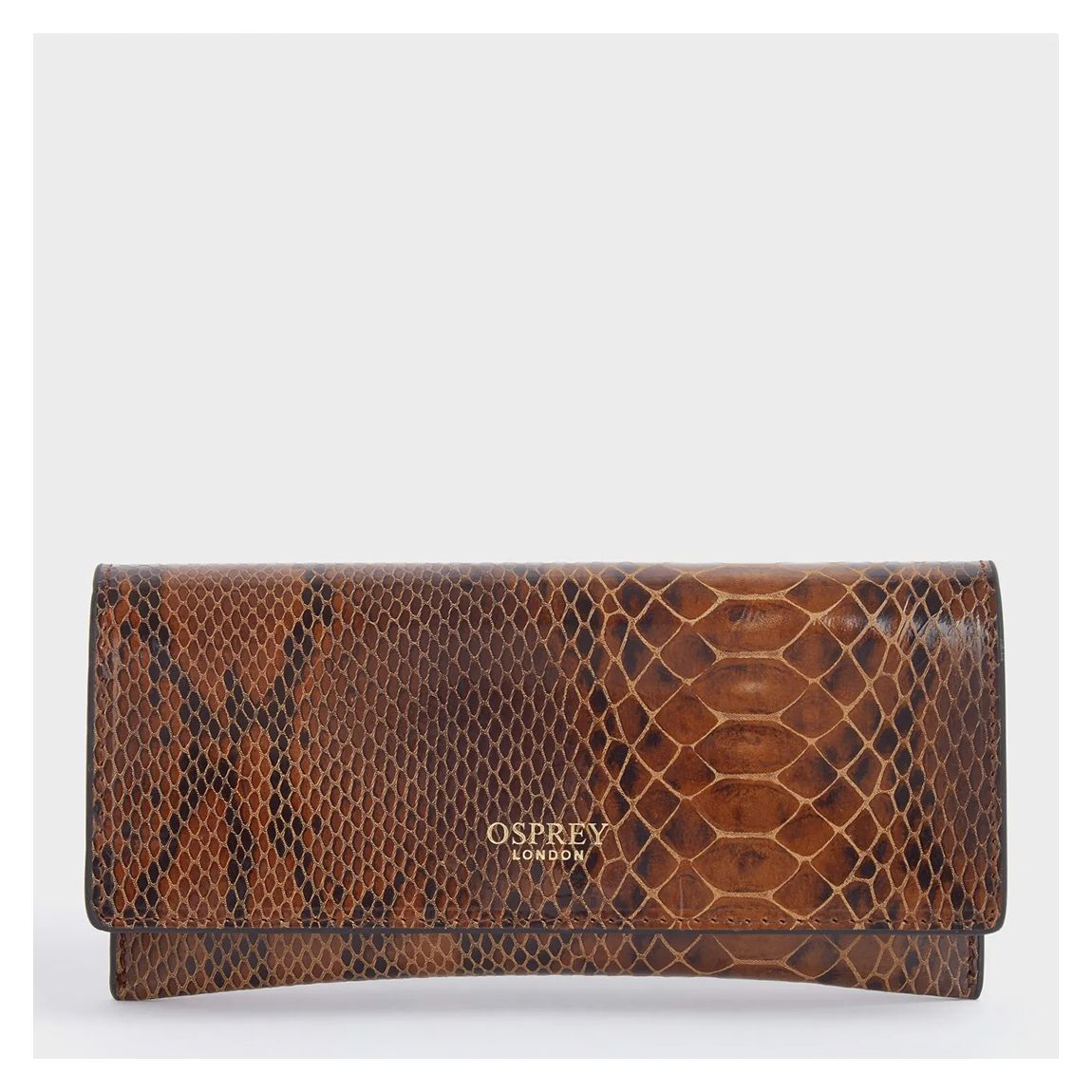 Ludlow Glasses Case - Assorted - Snake main product photo