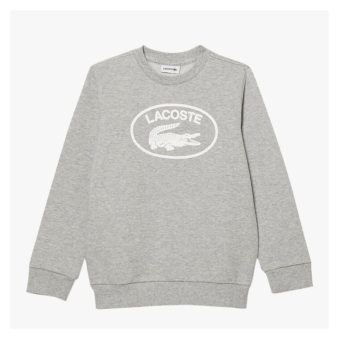 Teen Grey Large Logo Sweatshirt main product photo