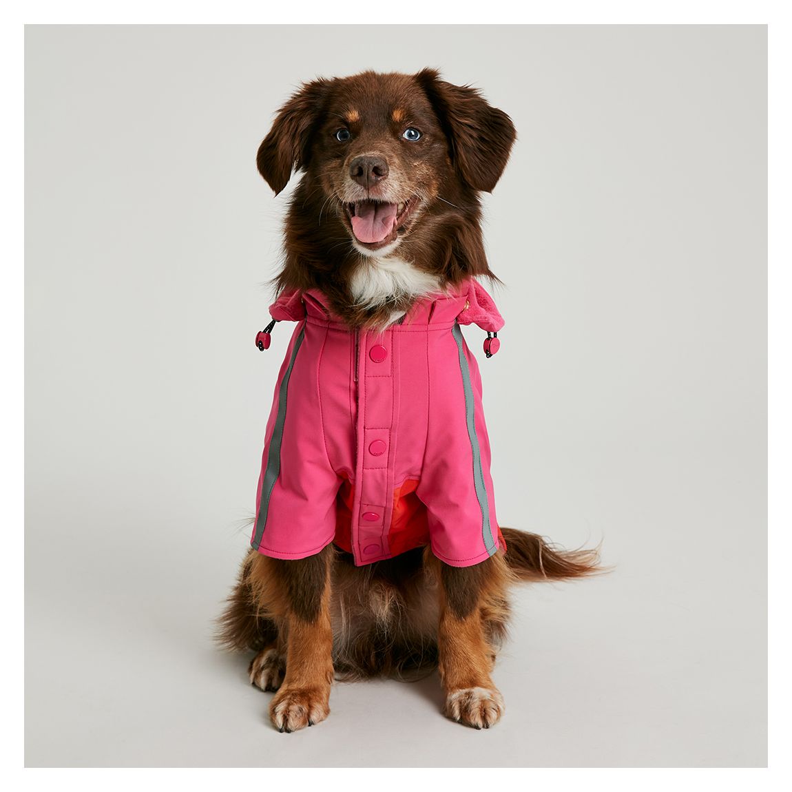 Lydford Raincoat, Small main product photo