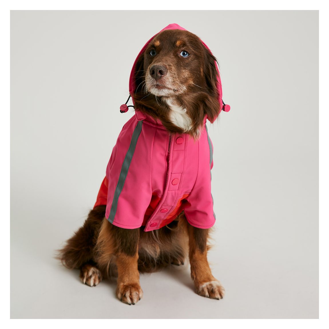 Lydford Raincoat, Medium main product photo