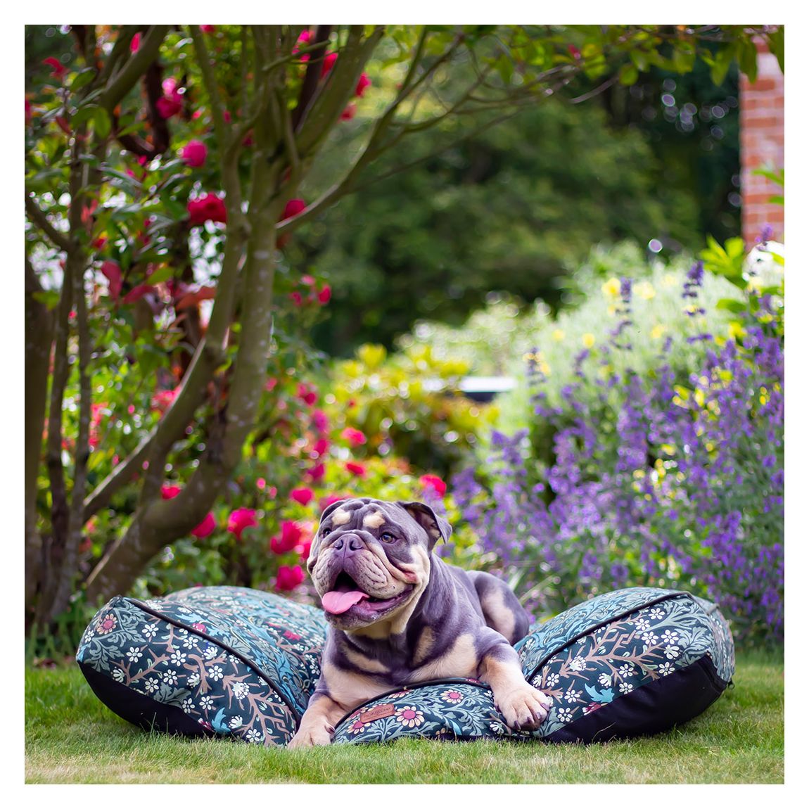 Blackthorn Print Pet Mattress, Medium main product photo