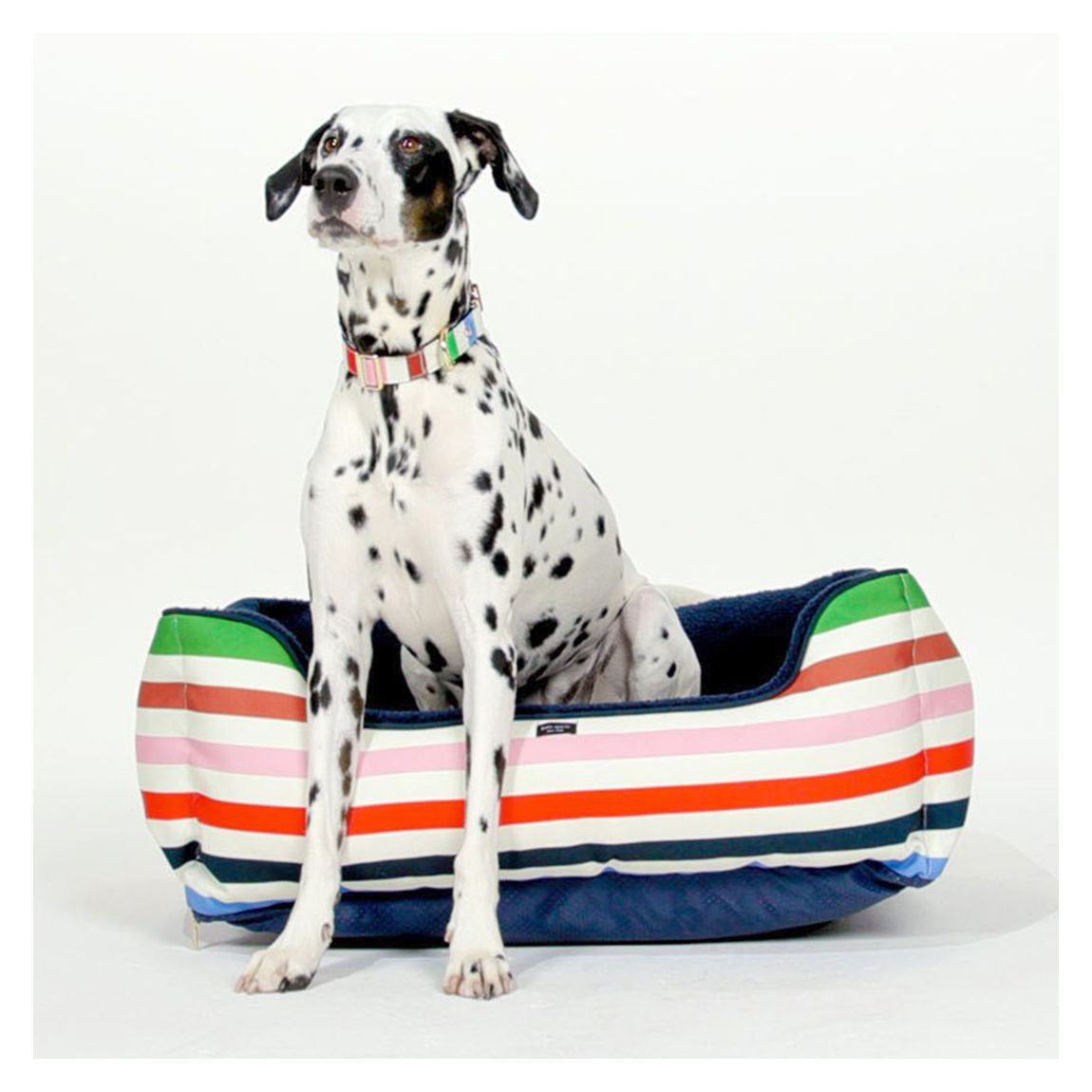 Pet Bed, Adventure Stripe main product photo