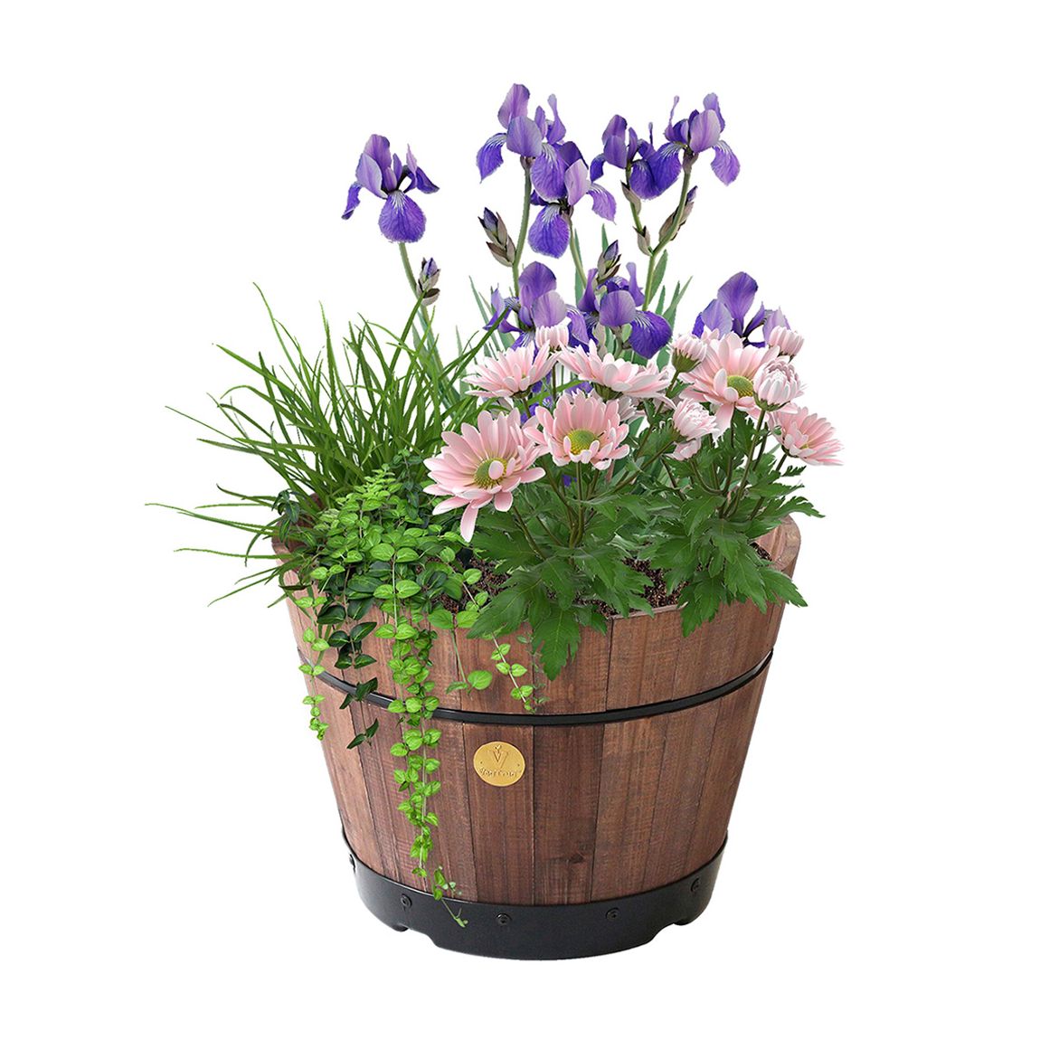 Build A Barrel by VegTrug, Small 37cm, Dark Brown main product photo