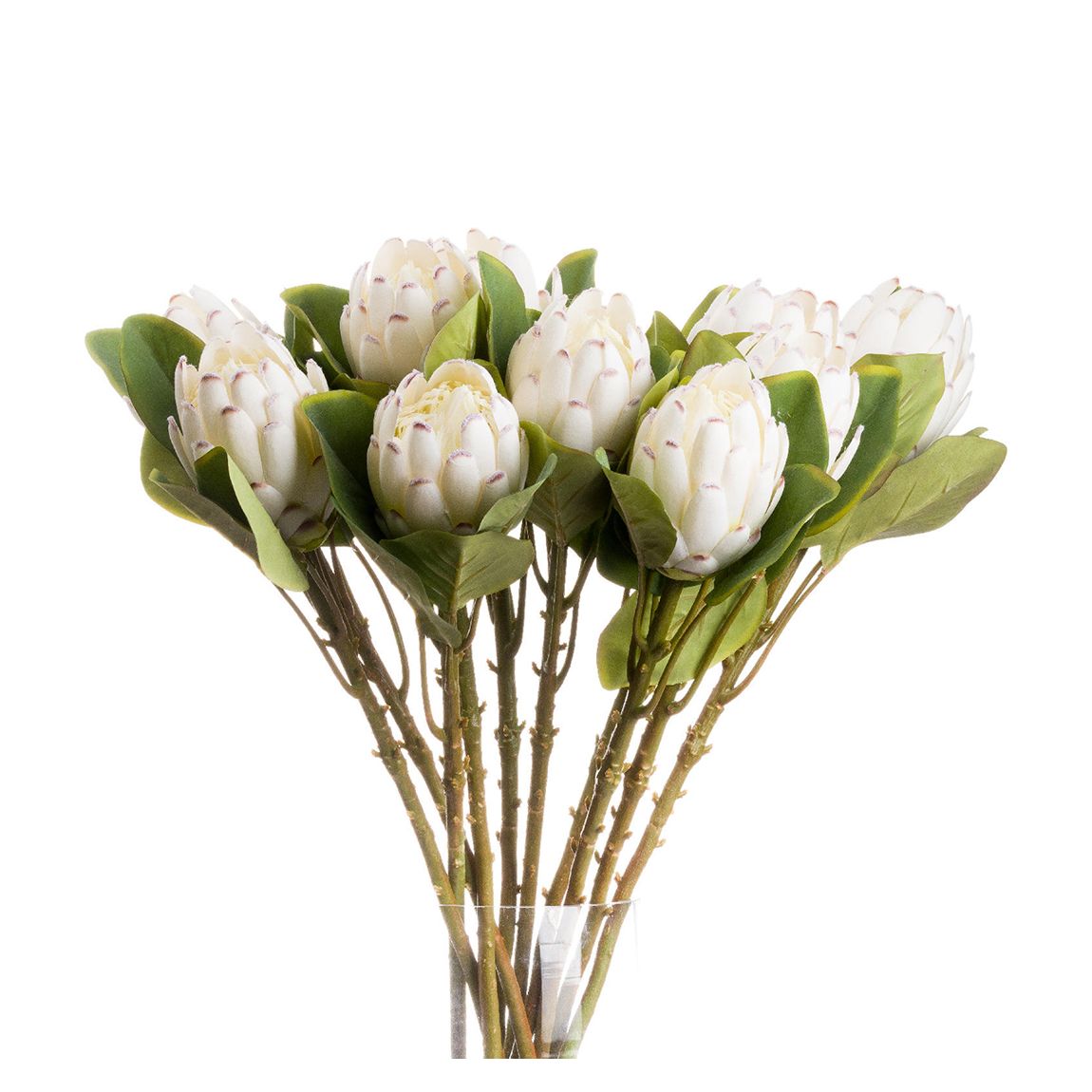 Faux Closed White Protea Flower main product photo