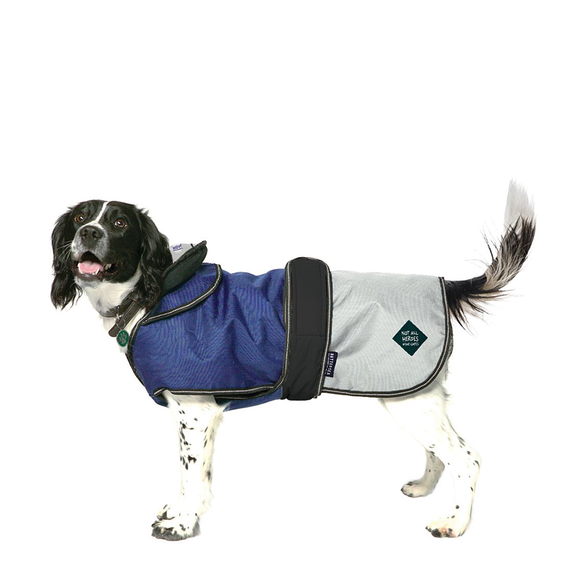2in1 Dog Coat Blue 25cm/10" main product photo