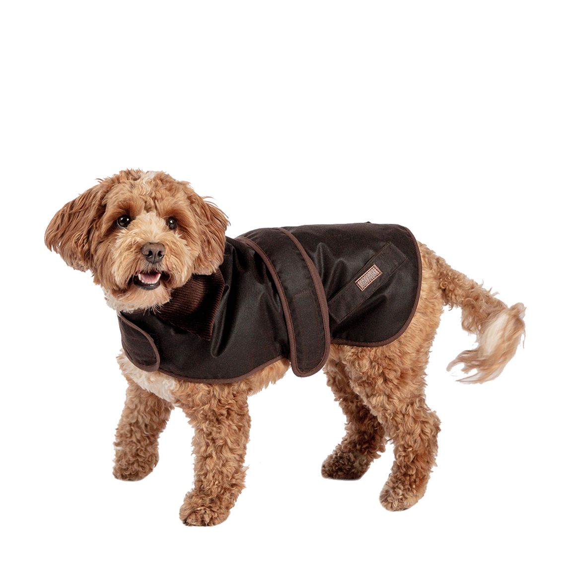 FatFace Sussex Wax Dog Coat 35cm main product photo