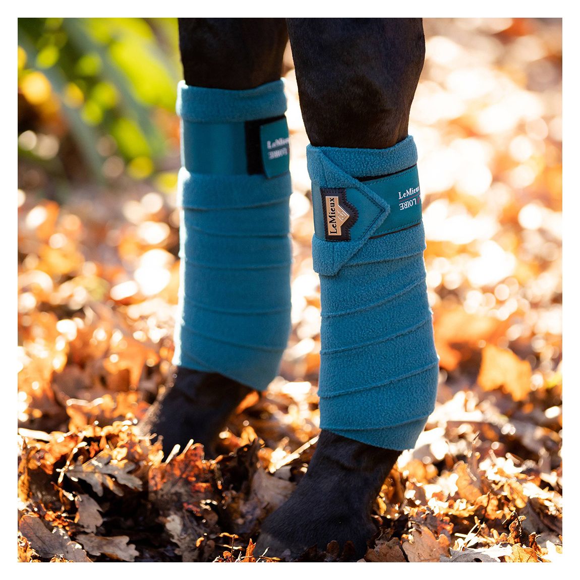 Blue Loire Polo Bandages Full main product photo