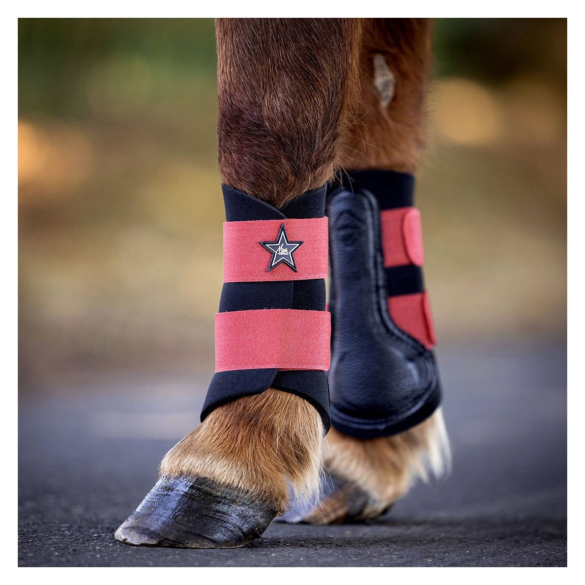 Orange Mini Brushing Boots main product photo