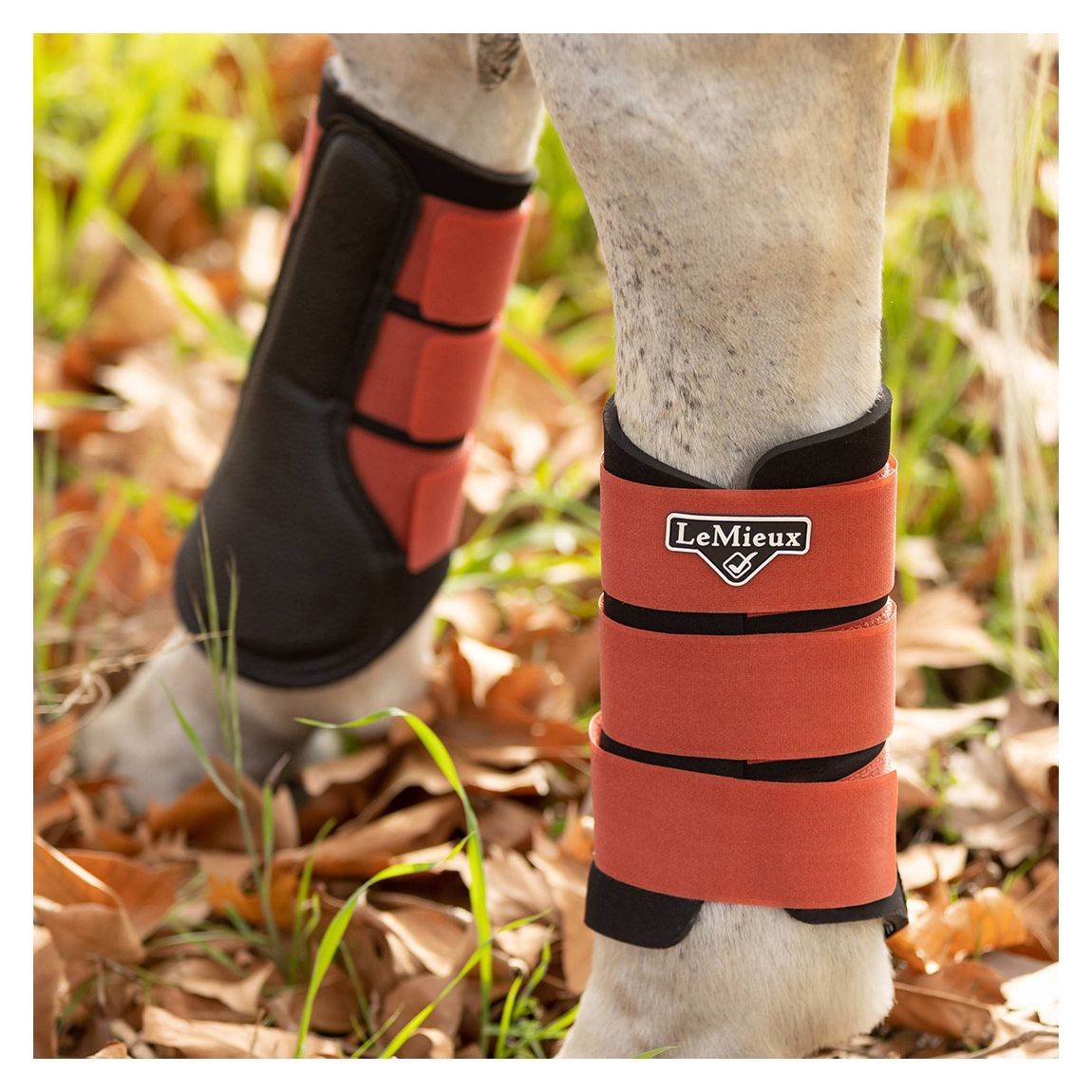 Orange Grafter Brushing Boot main product photo