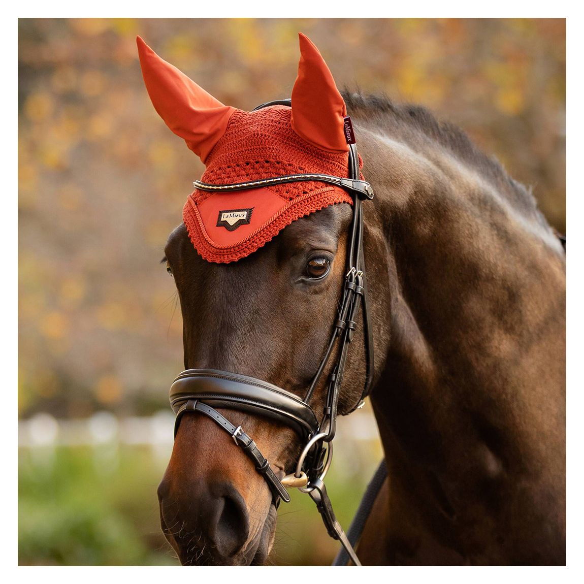 Orange Loire Fly Hood main product photo