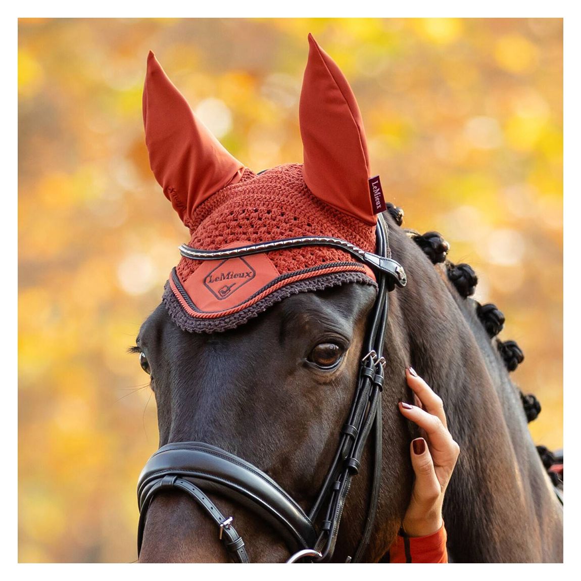 Orange Classic Fly Hood main product photo