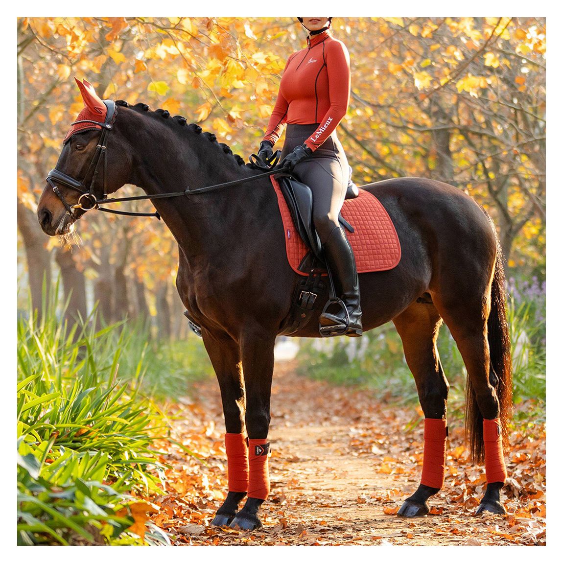 Orange Suede Dressage Square main product photo