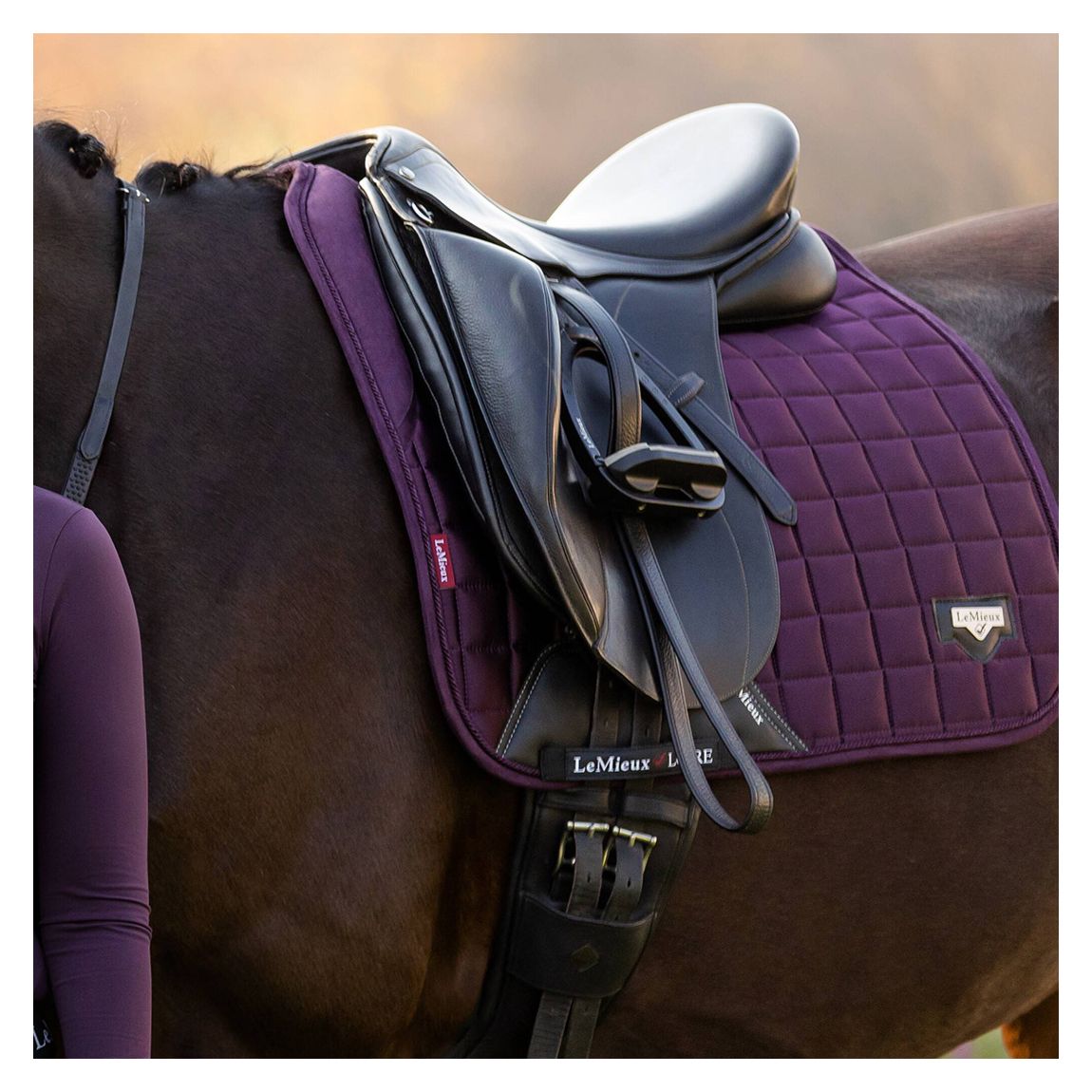 Maroon Loire Memory Dressage Square main product photo