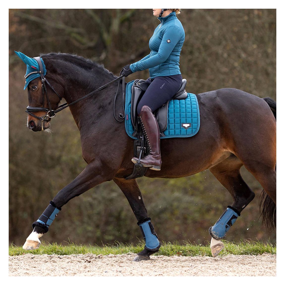 Blue Loire Memory Dressage Square main product photo