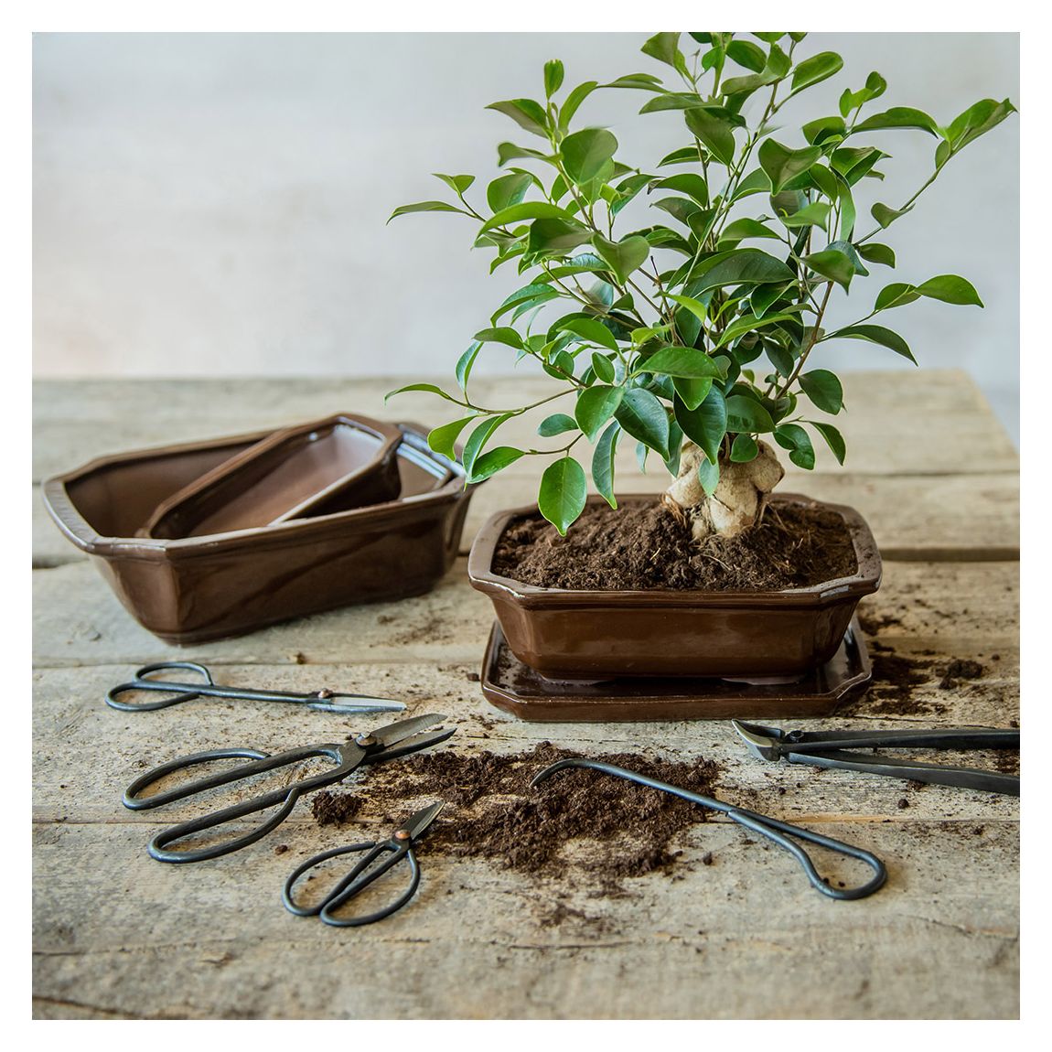 Bonsai Concave Cutter main product photo