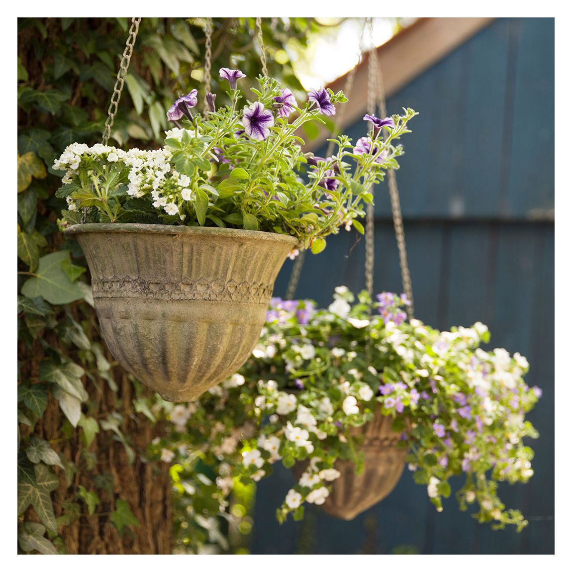 Aged Small Metal Hanging Basket, Green main product photo