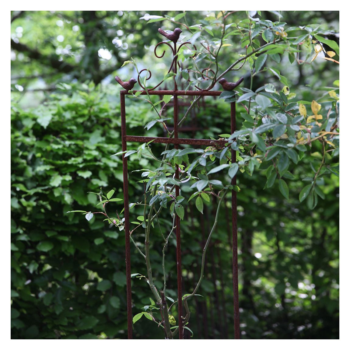 Plant Support, 2D Small Bird main product photo