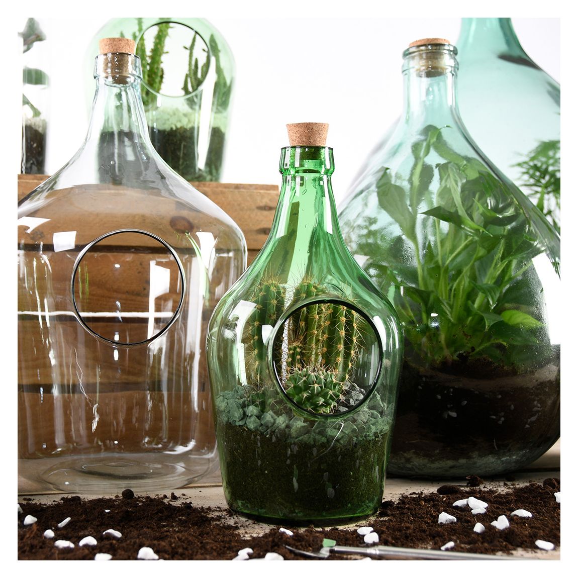 Open Terrarium Green Bottle, 3L main product photo