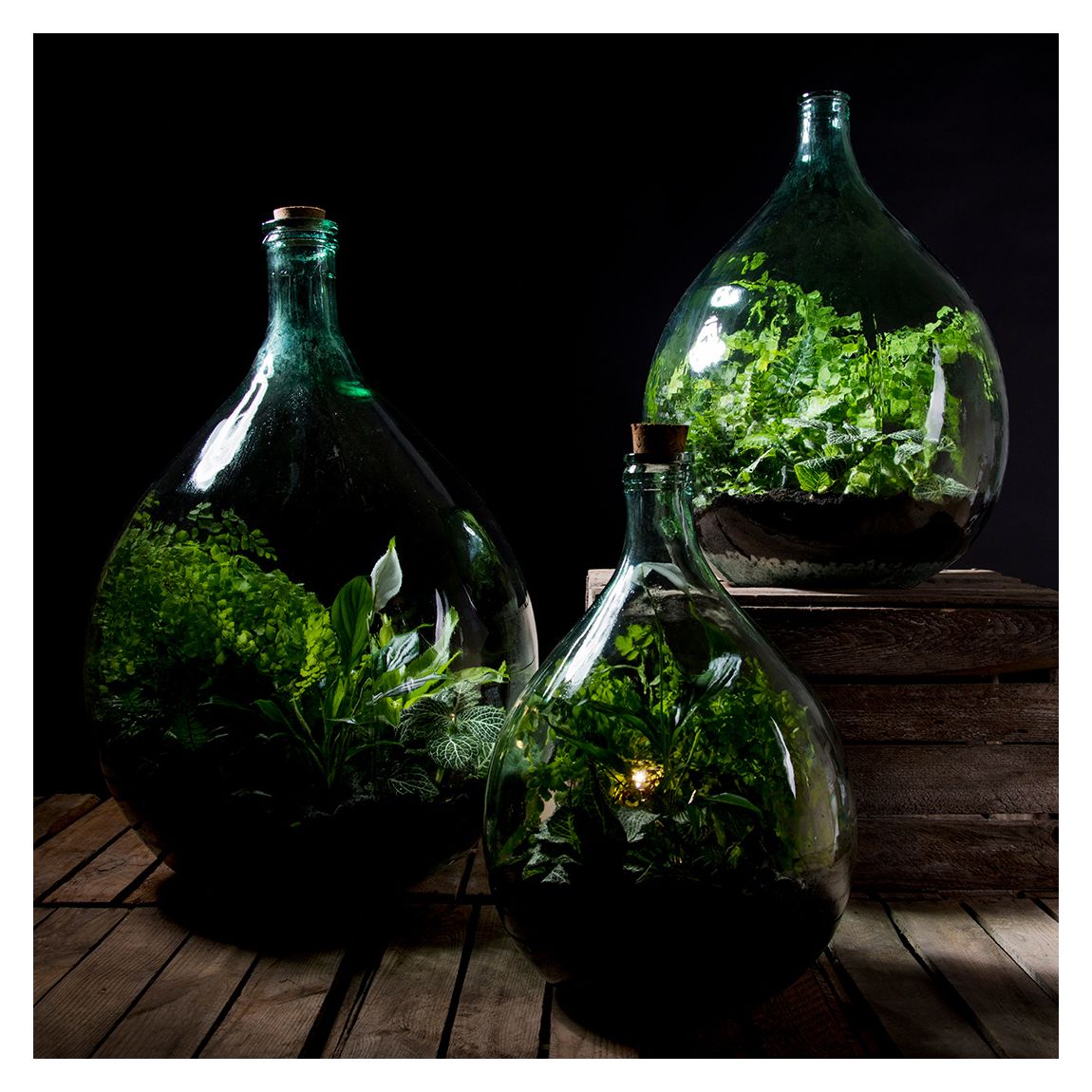 Terrarium Bottle Kit, 15L main product photo