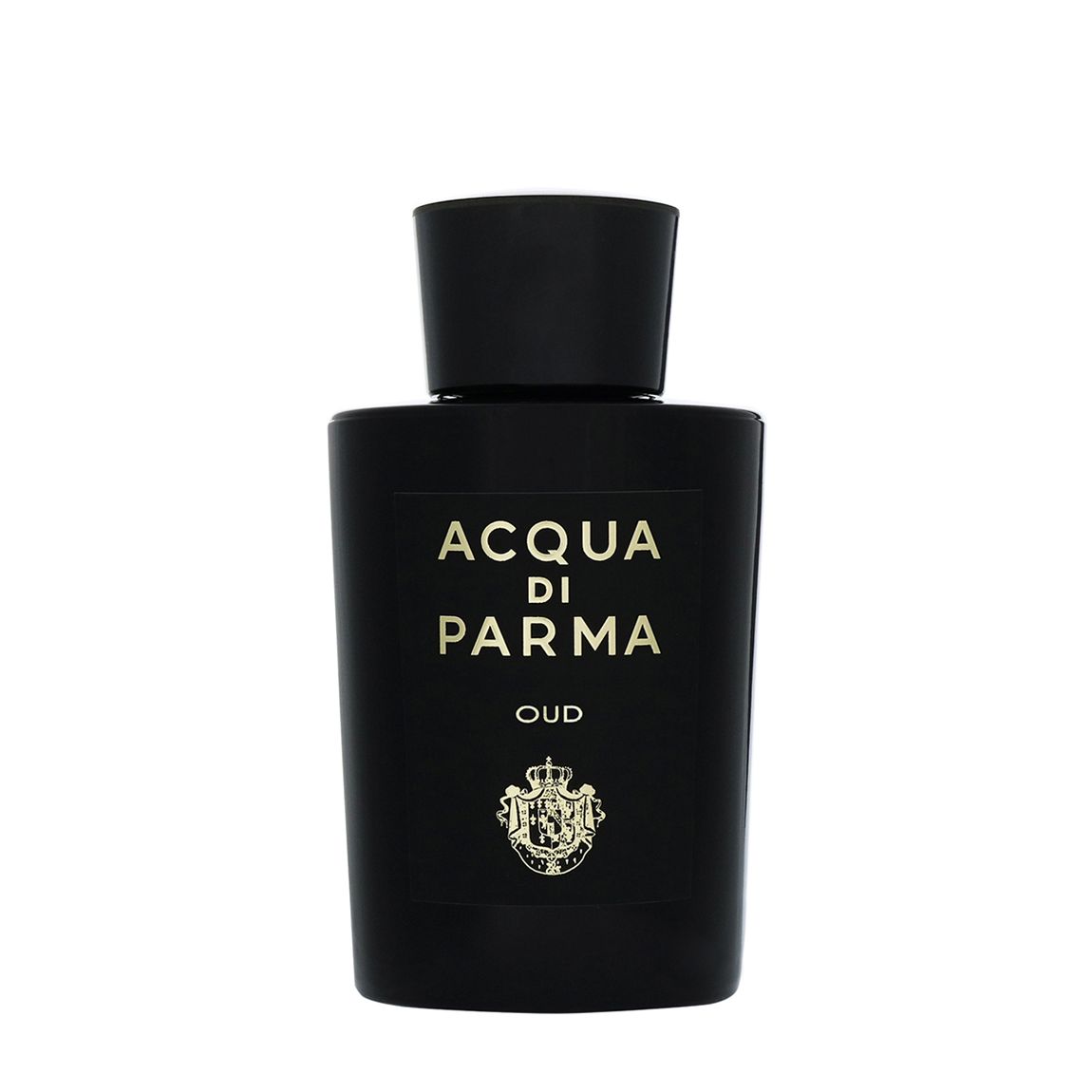 Oud Eau de Parfum Natural Spray 100ml main product photo