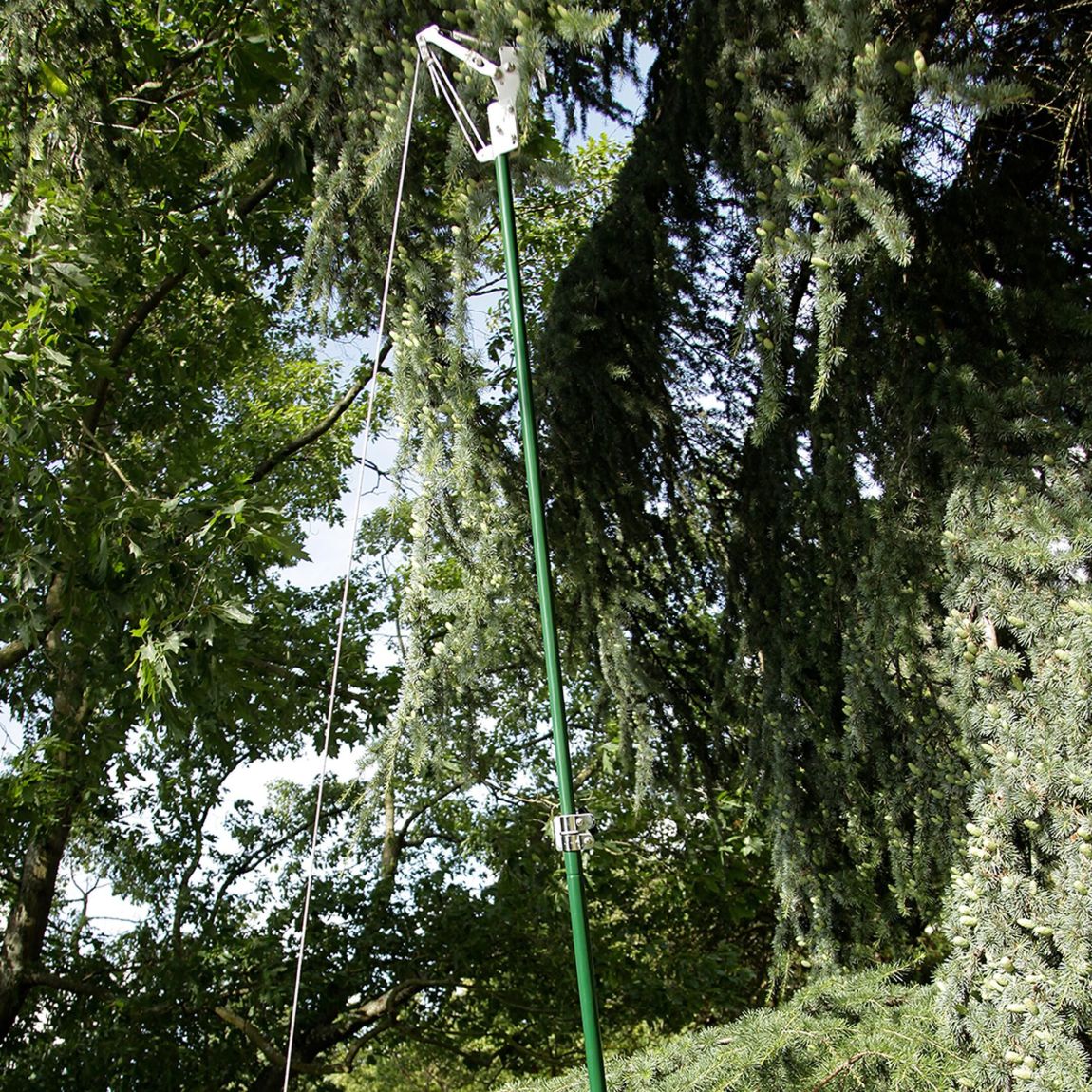 Telescopic Tree Pruner main product photo