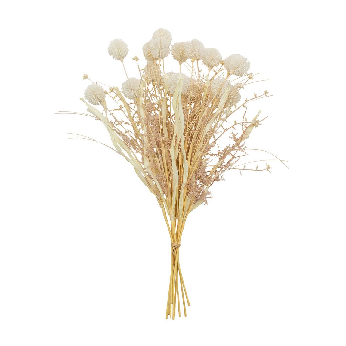 Dry Look Echinops Bundle, Ivory main product photo