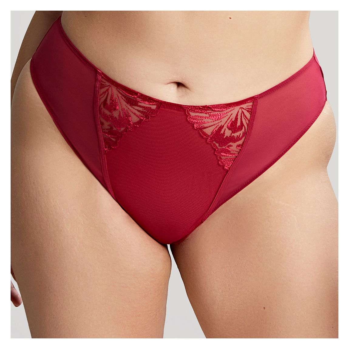 Scarlet Jaida High Leg Brief main product photo