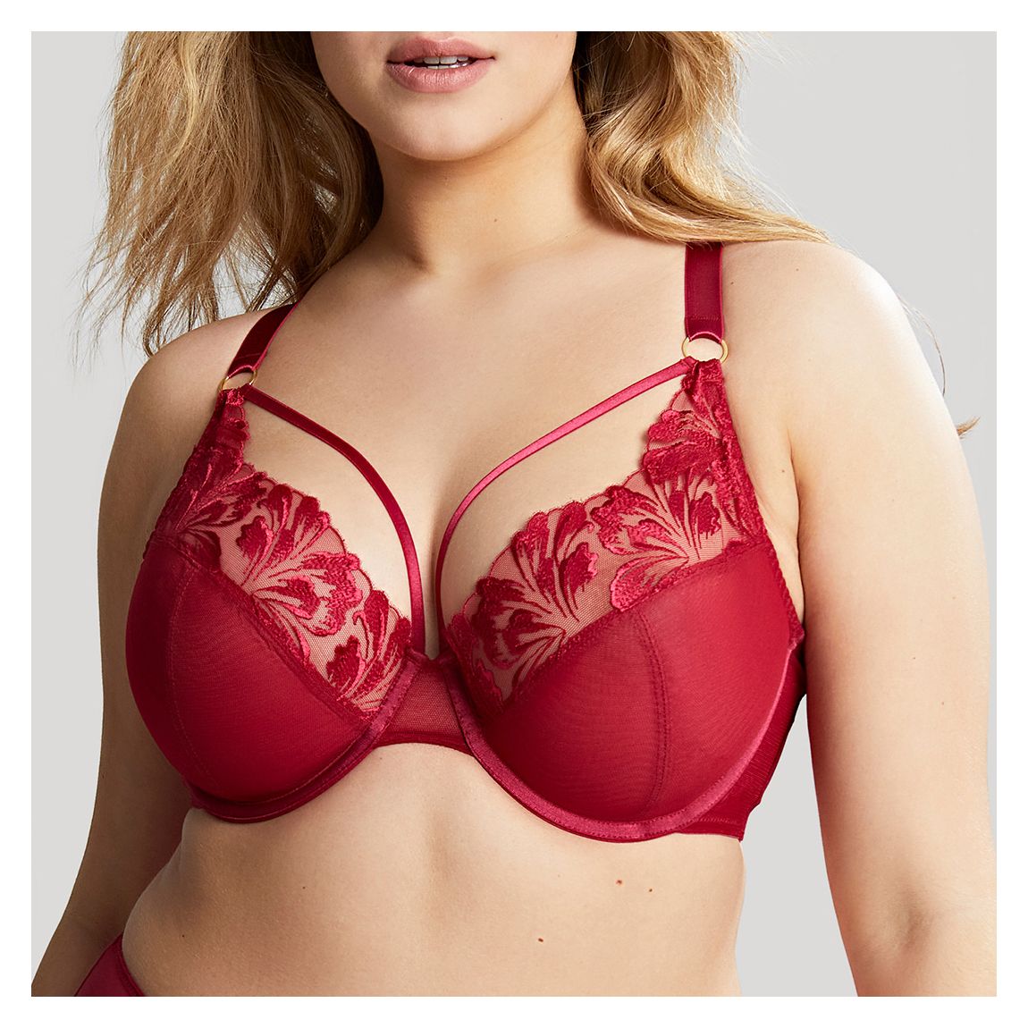Jaida Plunge Bra main product photo