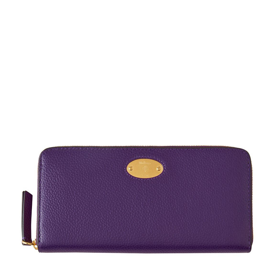 Amethyst Plaque 8 Credit Card Zip Purse main product photo