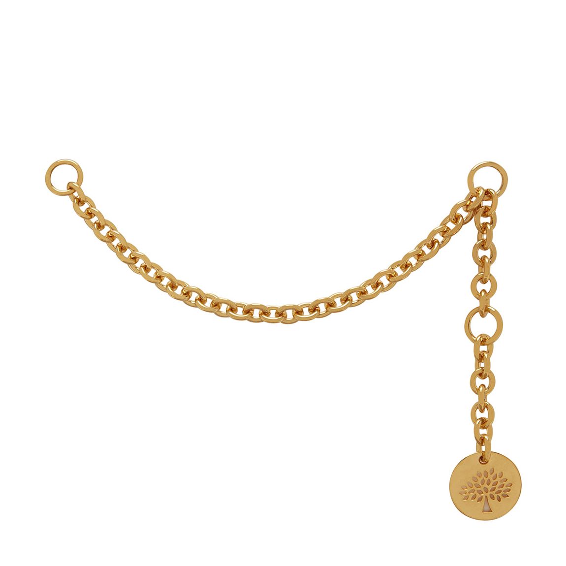 Gold Chain For Initials Bag main product photo