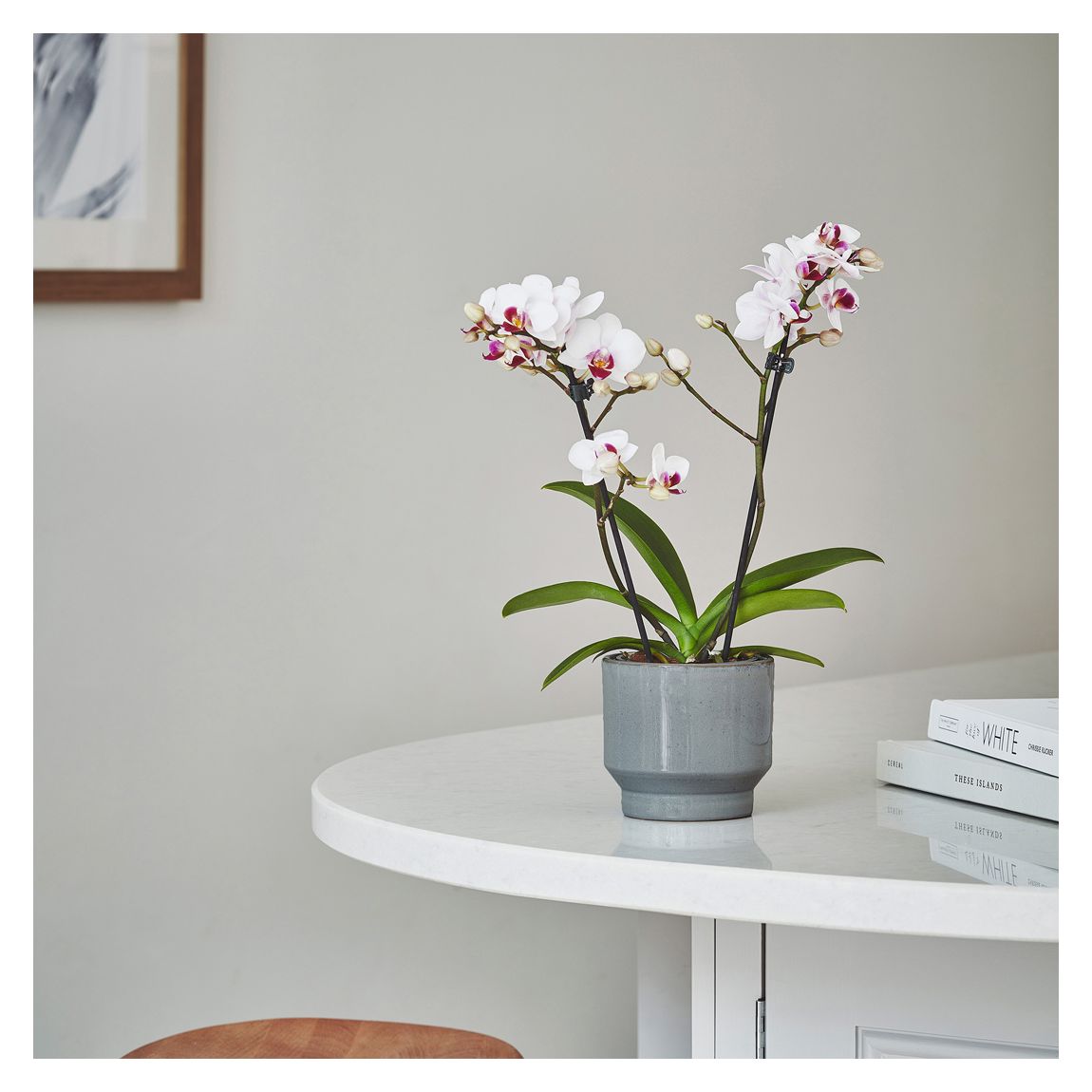 Mia Pebble Planter, 17cm main product photo