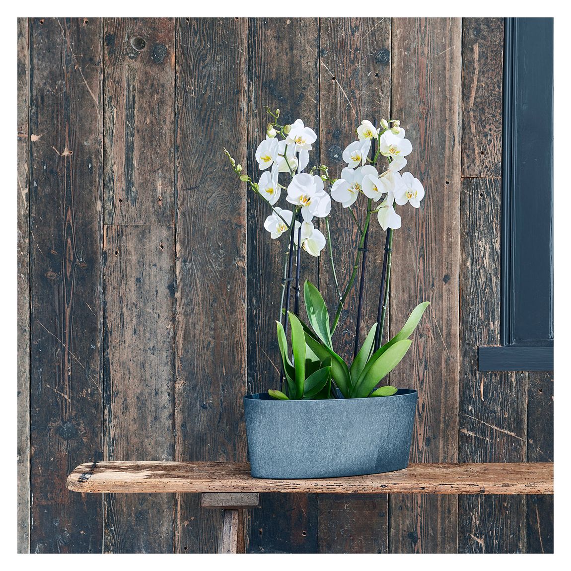 Pula Recyclable Trio Planter Sapphire, 36cm main product photo